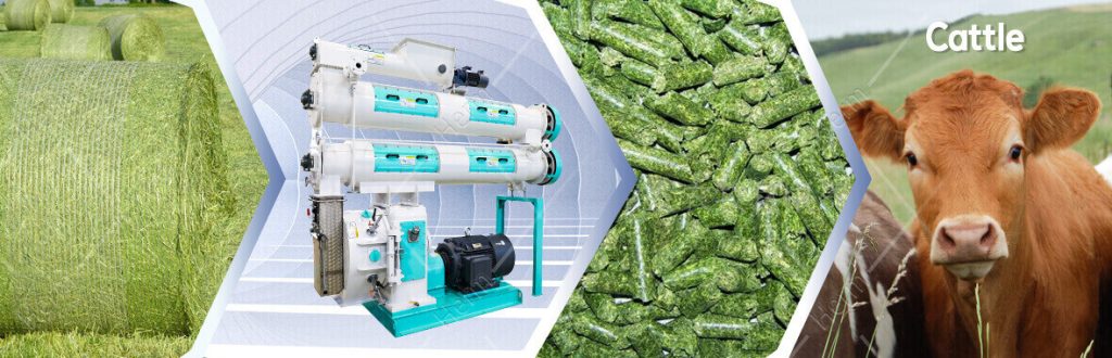 How to Choose the Main Machines for Building a Medium-sized Feed Production Line-feed mills