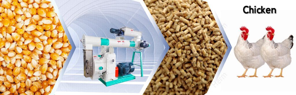 What Are the Precautions in Using Animal Feed Processing Machine