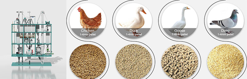 poultry_feed_pellet_machine_price