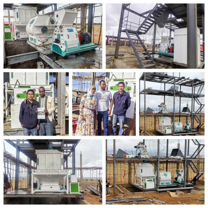 feed_mill_machine_installation_ethiopia