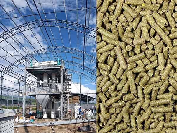 sheep_feed_mill_machine_ethiopia 4